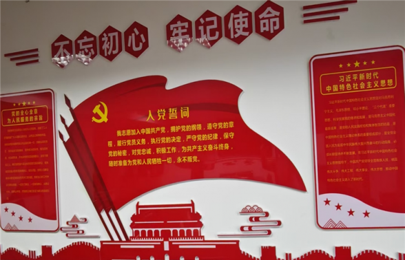 党建领航风帆劲   银发先锋绽华光