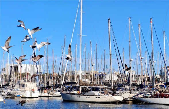 情迷西葡摩　邂逅古城幽韵